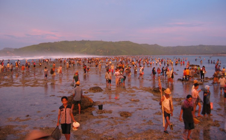 The Bau Nyale Fishing Festival