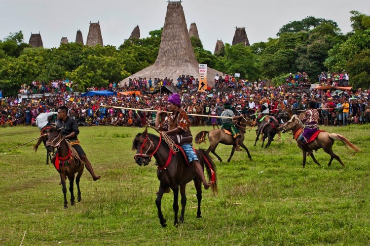 The Pasola Festival