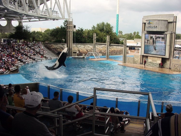 SeaWorld Orlando