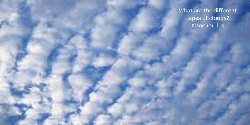 What are the different types of clouds? Altocumulus