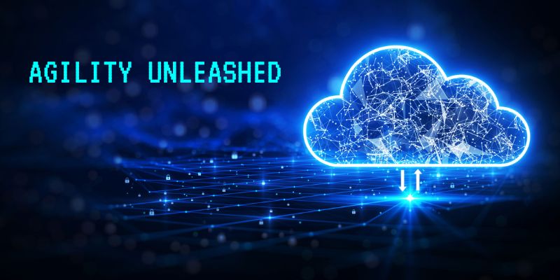 Agility Unleashed: AWS Cloud Hosting and Innovation